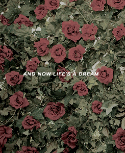 alternative-queens:Roses Bloom For You, Lana Del Rey.