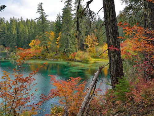 Clear Lake, Oregon 9/29/18 by Thom I