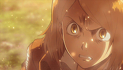 jeanmarcoandshit:  Team Levi, Petra Ral. 