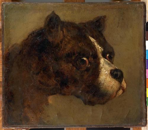 The head of bulldog, Theodore Gericault