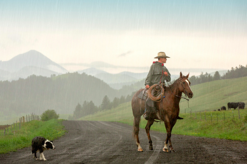 grabmane:Braving the Rain by Todd KlassyA cowboy rides horseback with his trusty dog in tow while br