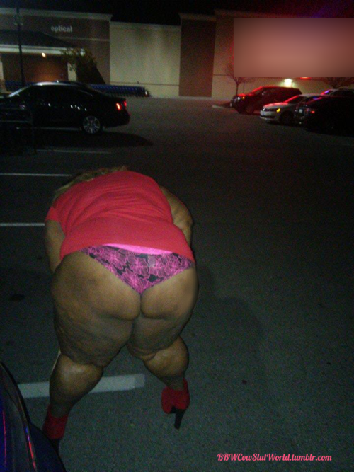 bbwcowslutworld:  Here you go! The second part of my set in my red dress. We started the night out with me standing on the corner of a main street flashing traffic as they wizzed by. I got quite a couple of cars honking at me! :D We ended the night with