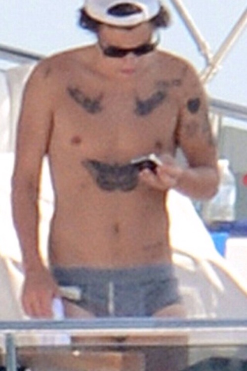 celebrtybulges:  Harry Styles bulge and ass