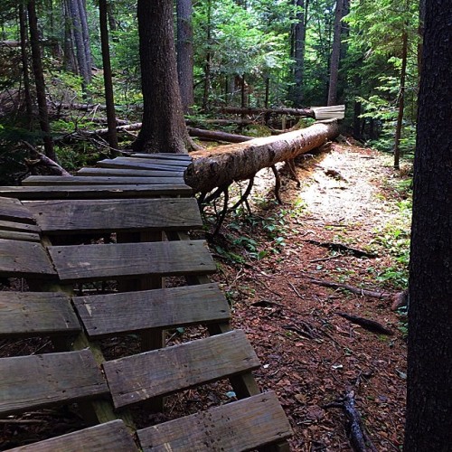 kevinharrison:  Log rides. (at Sunday River, Bethel, ME)