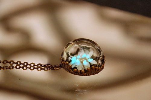 wickedclothes:  Glow In The Dark Daisy Necklace A real daisy is held inside of this glass dome. The daisy’s petals glow in the dark for up to nine hours and can be charged an infinite amount of times. Hung on a bronze or silver-plated chain. Sold on