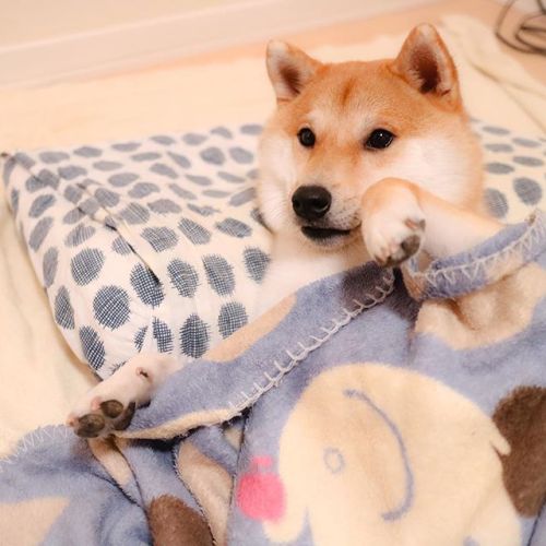 Twitter @Spikevee96