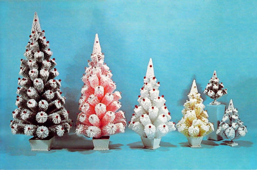 Christmas Trees - 1961