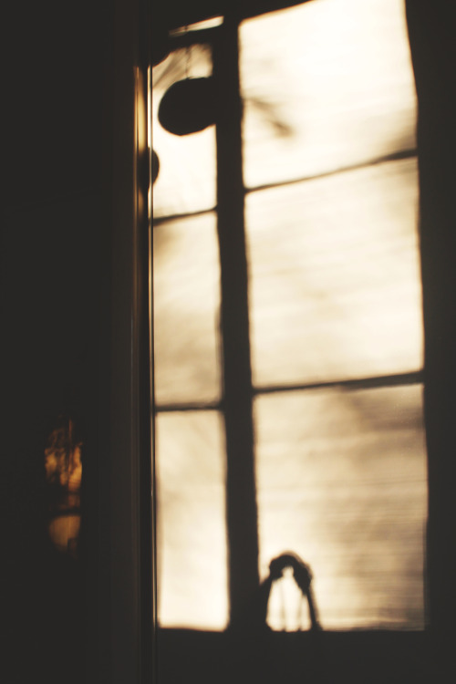 immensus-sea:  Afternoon Shadows 