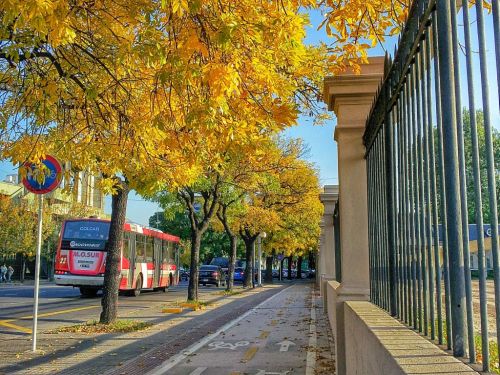 noesperolaflota:  Otoño en la bicisenda  vereda del Hipódromo de Palermo, Avenida Dorrego Yo no espero la flota 