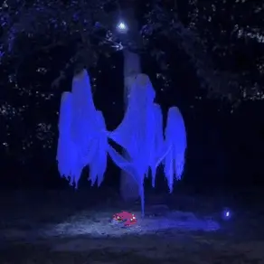 👻👻👻