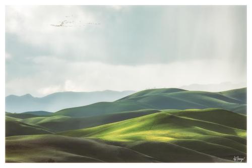 The rolling green hills of Livermore, CA during the stormy weather yesterday. The light is just magi