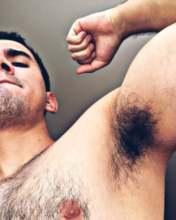 sweatyhairylickable:  http://sweatyhairylickable.tumblr.com for more hairy sweaty dudes!  