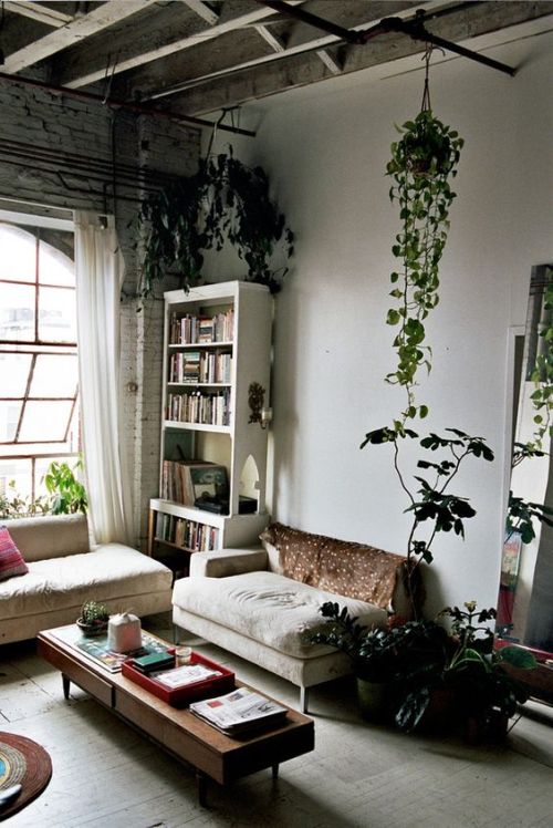 indehd: lowehome lowehome.tumblr.com/post/145848974132 June 13, 2016 at 11:01AM