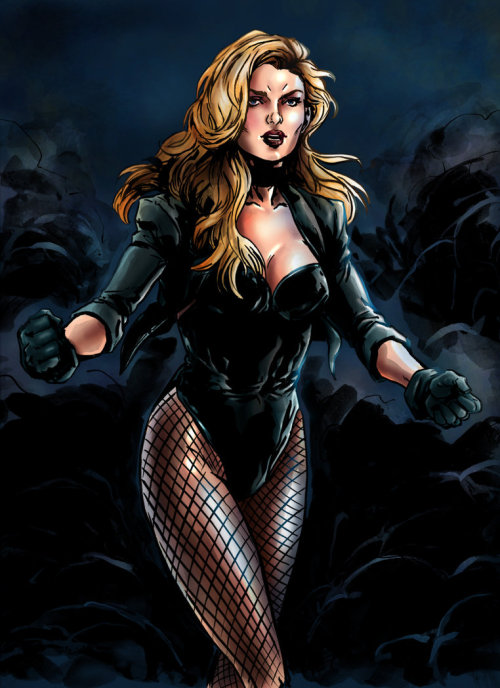 Dc comics black canary and zatanna