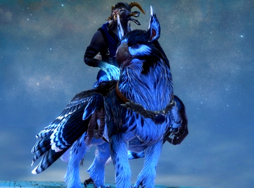 thefireboundmage:  More gushing over the beautiful detail on the mounts in this game, no other can compare to the amount of personality. I am so in love >w< <3  Whoooopsiieeeeeeee~ :3c