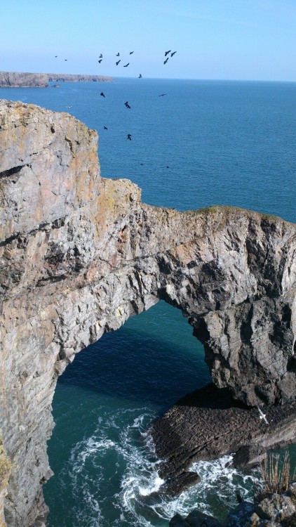 Pembrokeshire, Wales. “The Green Bridge.”