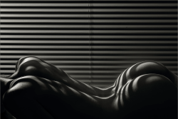 imickeyd:  Body and Stripes III B&W -