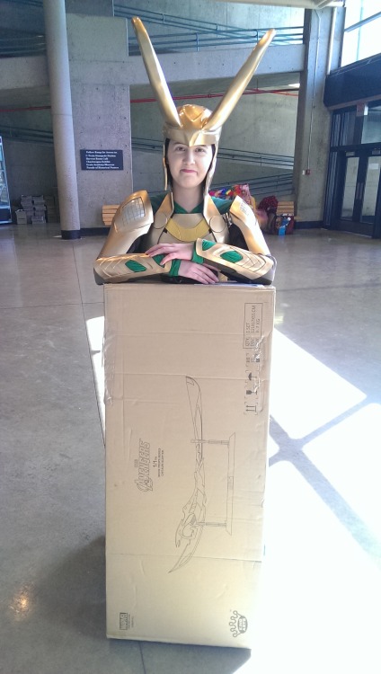 Also, this is how big the box was. People got a good kick out of watching me as Loki try to awkwardl