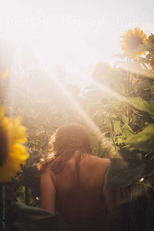 man-and-camera:  stocksyunited:  Girl in a sunflower patch ➾ paff License this image on stocksy  Follow Stocksy United for more amazing photography from photographers all over the globe.   