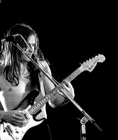 thepinkfloydisinmyheart - David Gilmour