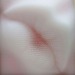 enfranchisement:SANGSIK HONGMOUTH 196 (P)Plastic straws15 &frac34; × 15 &frac34;