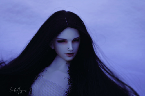 lma-dolls