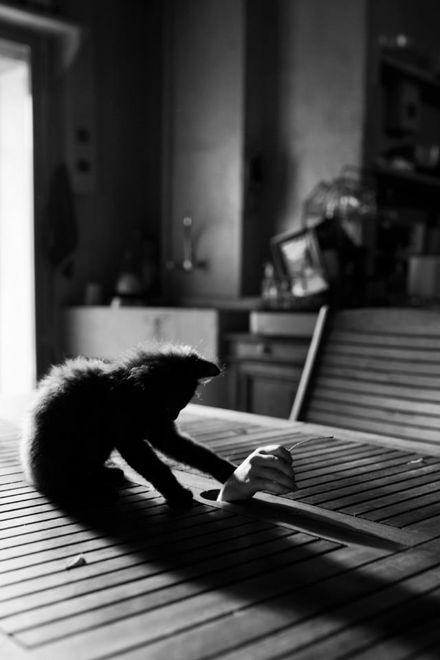 republicx:  La familie by Alain Laboile 