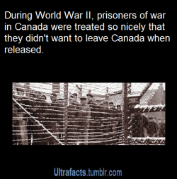 ultrafacts:In a couple locations across Canada, 35,046 German soldiers, sailors, airmen and potential insurgents were incarcerated under a program one later called “the best thing that happened to me.” It’s how many of them felt about their time