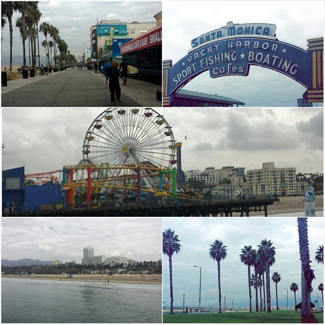 The world&rsquo;s fastest your of Los Angeles. Venice beach and Santa monica