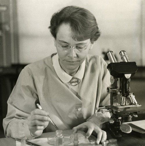 celebratingamazingwomen: Barbara McClintock (1902-1992) was an American scientist and the recipient 