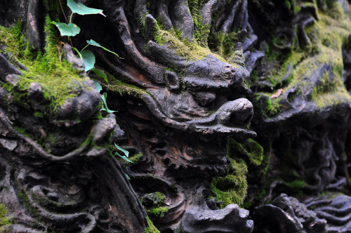 aperture24:Tree Root Carving