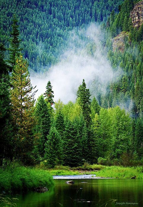 Panhandle National Forest, Idaho.. via pinterest