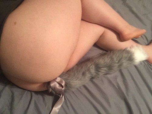 lilfawnbabe:  I’m a cute kitten ☺️💕