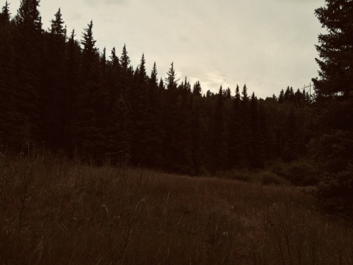 Sway Lake.