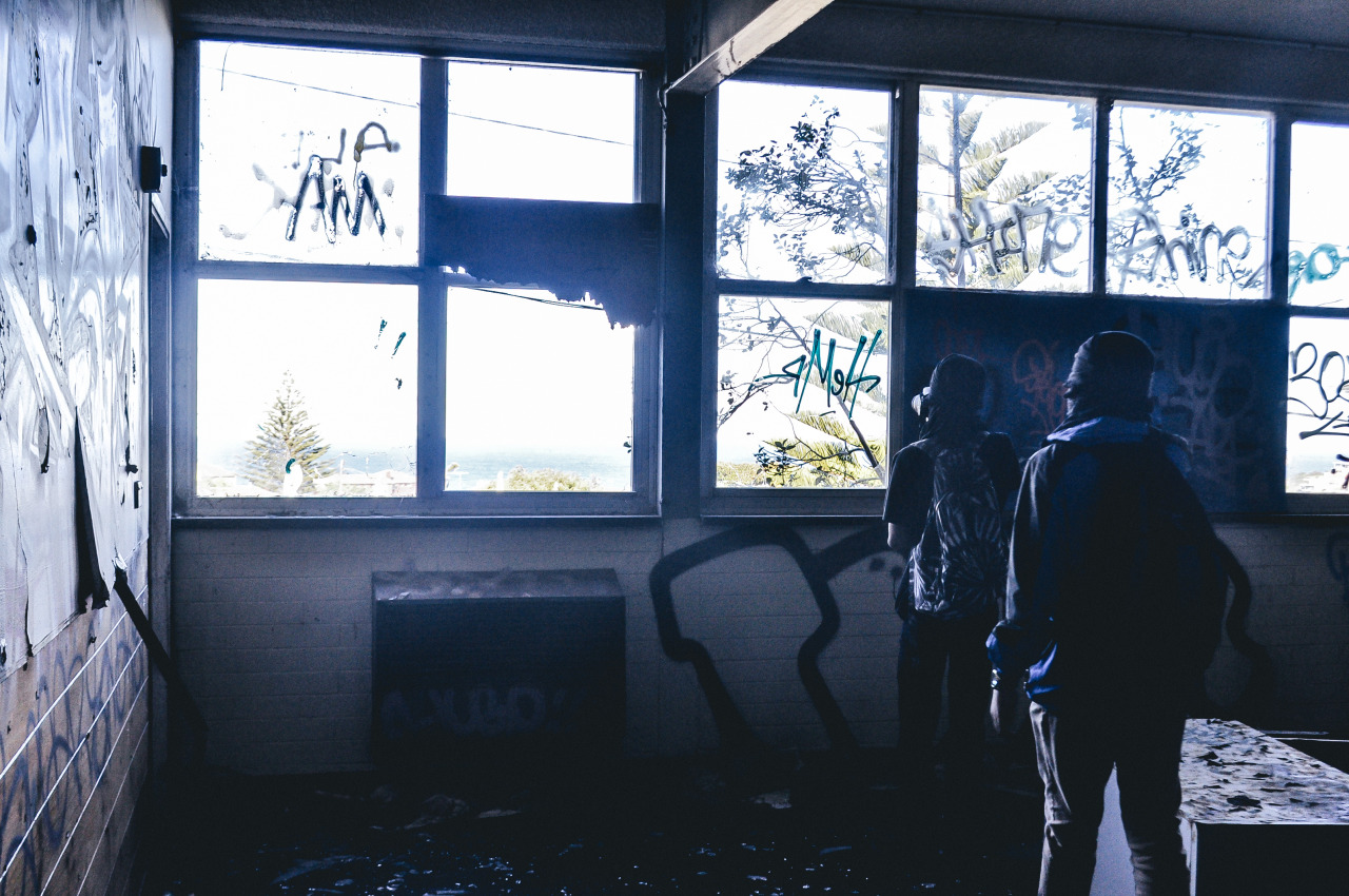 Bitches Love Vandals