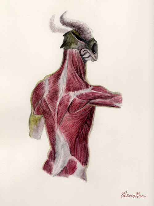 Monster anatomy series: Back musclesWatercolour on cotton paper, 12x9 inches