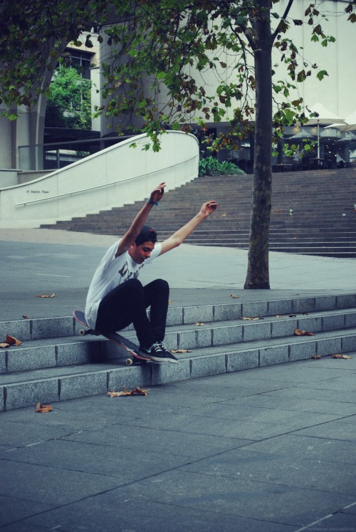al-pha: pure skate blog