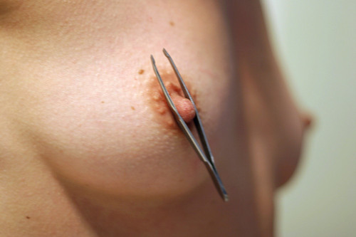 katherinedanziger:When tweezers attack!