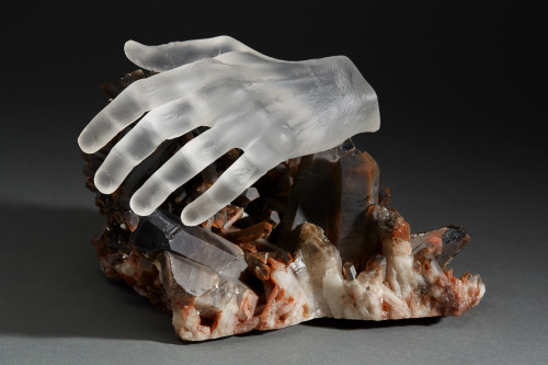 themedicalstate: Anatomical Works Sculpted in Crystal and GlassSanta Fe-based sculptor and jewelry d