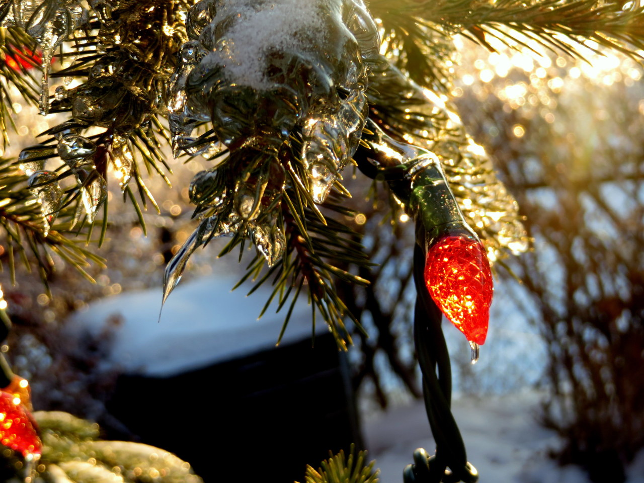 a-broken-clockwork-heart:  Okay so we’ve had the giant ice storm here in southern