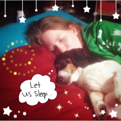 #linecamera Porkie and I are sleeping! Shhhh! 🌟💤 #miniaturedachshund #piebald