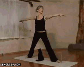 gifss-heaveen:  Crazy Cute Win Funny Fail Gifs! !