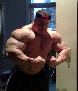 musclemechanic:  pnobear:  😱  another HFS moment?