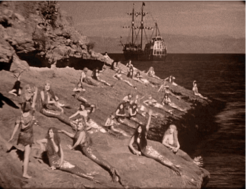 novocainelipstick:  gameraboy:  &ldquo;I seek the crocodile&quot;  Peter