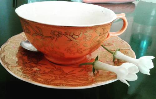 #buendiamundo As Despedimos #2015 #jazmines #tea