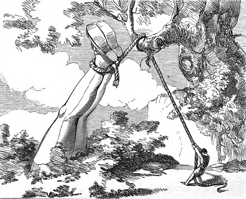 antipahtico:  Fairy Tales ~ Alfred Crowquill 1857