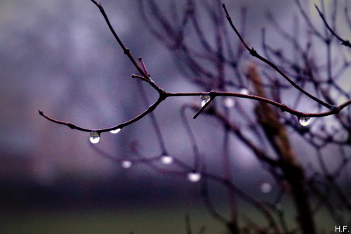 Another Rainy Day In January. 