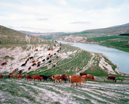 Gold Rivers: Mathias Depardon (Hasankeyf, Turkey)via instituteartists: The village of Hasankeyf loca