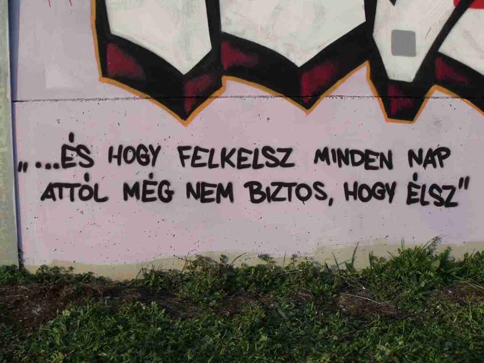 🤎