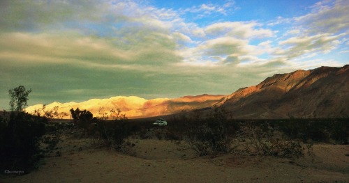 The Eurovan life - A lone VW Eurovan camps in Death Valley. My tribute to Alison Travels, a personal